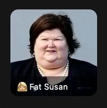 A collage of images including a small dog with a blurry human figure, a fashionably dressed man with a Belgian Minister of Health name tag, and a low-contrast room scene with a chair.