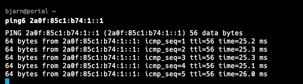 A terminal window displaying the results of a successful IPv6 ping test.