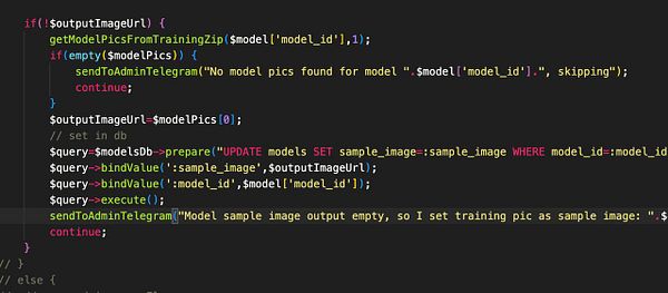 The image displays a code snippet related to handling model sample images in a programming context.