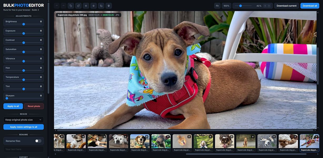 Bulk Photo Editor
