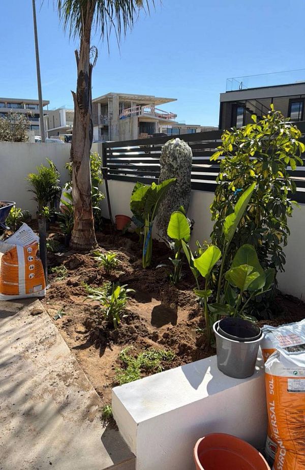 A 3D garden design showing various plants arranged around stone paths and a backyard area.