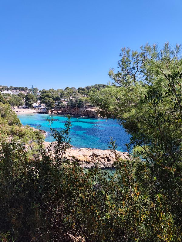 A man and a woman hike along a forest trail surrounded by tall green trees and sunlight.