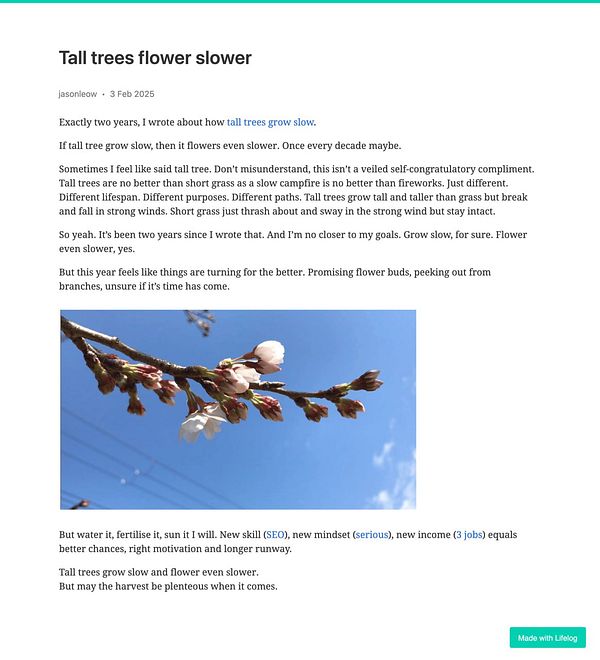 A close-up view of cherry blossom buds against a blue sky.