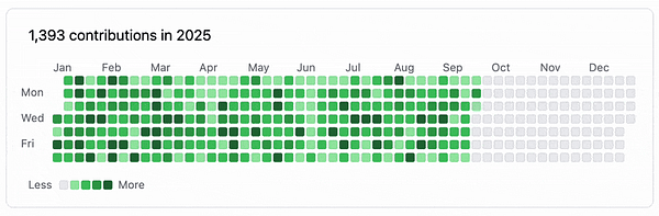 A contribution graph displays 1,393 commits made in 2025, with no missed days.