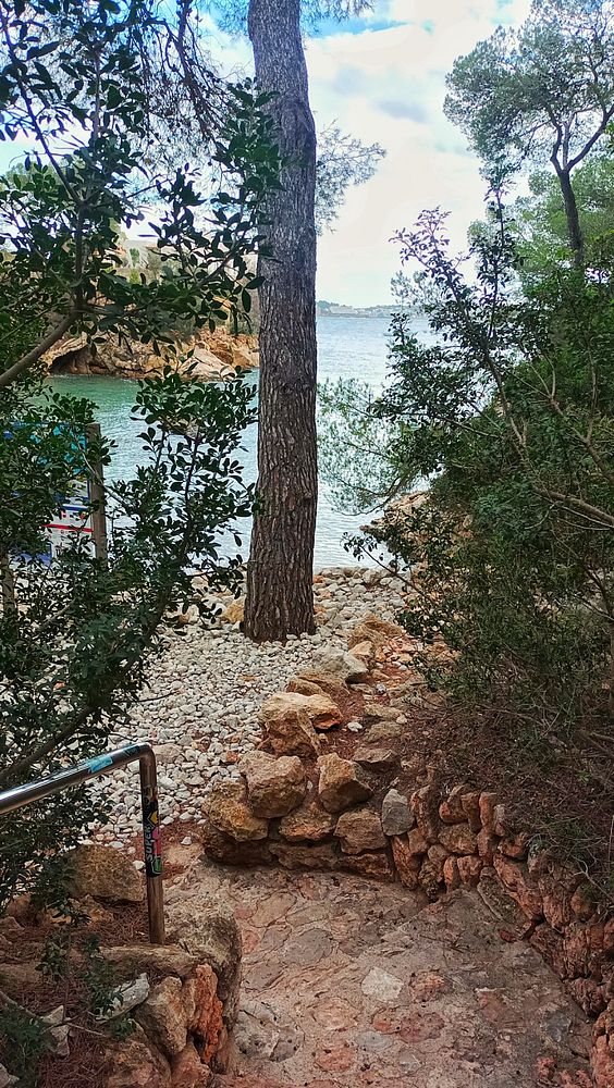 A scenic pathway leads down to a tranquil body of water surrounded by trees and rocky terrain.