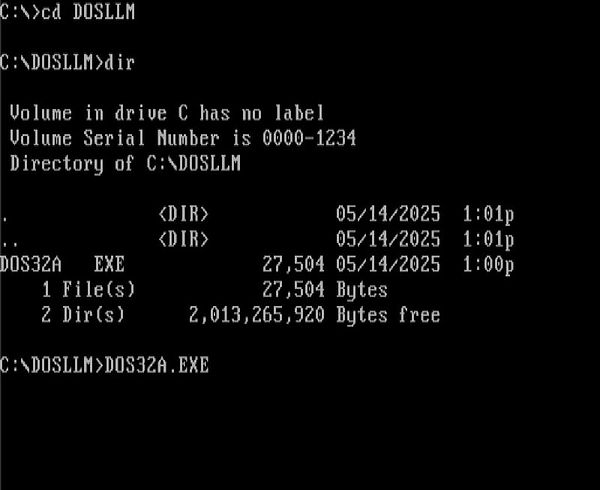A command line interface displaying directory information for DOSLLM on a C: drive.