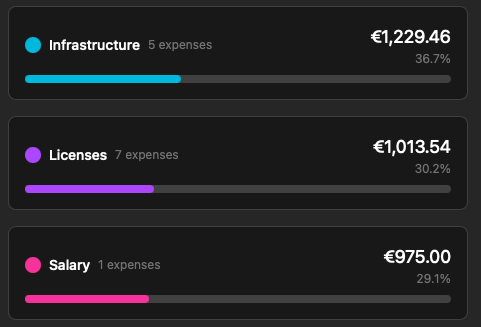 A financial overview of expenses categorized by Infrastructure, Licenses, and Salary.
