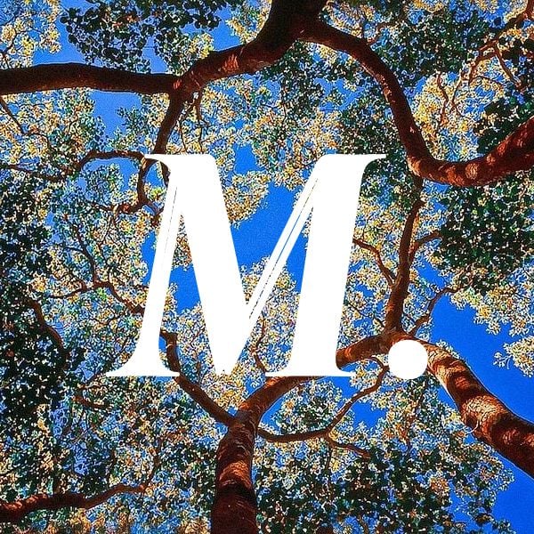 A view of tree branches and leaves against a blue sky, featuring a large white letter 'M.' in the center.