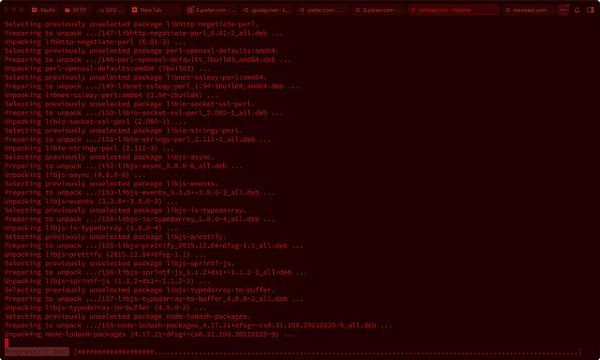 The image displays a terminal window showing the installation process of various packages related to Node.js and NPM.
