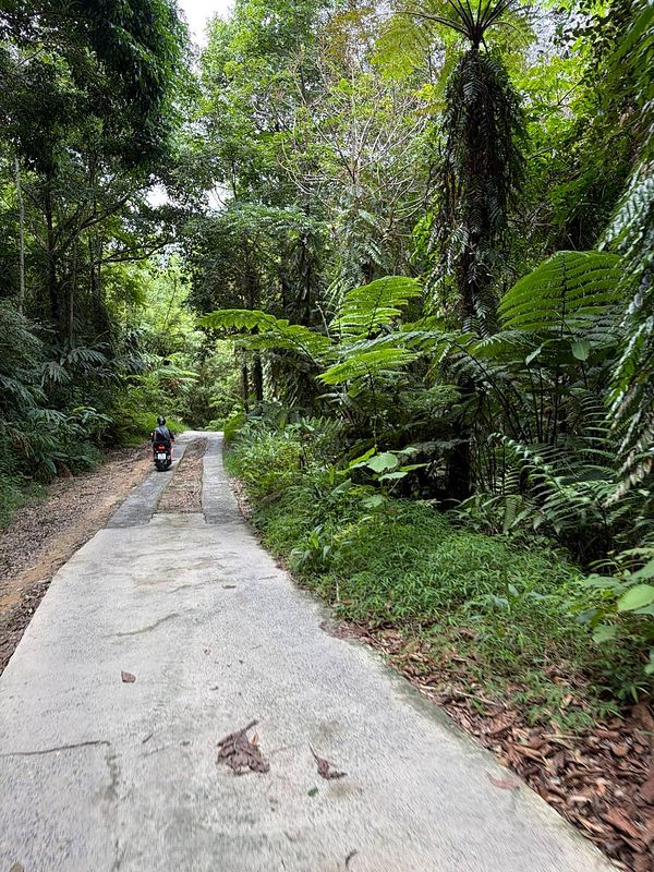 A woman is riding a blue scooter on a paved pathway surrounded by lush tropical greenery.