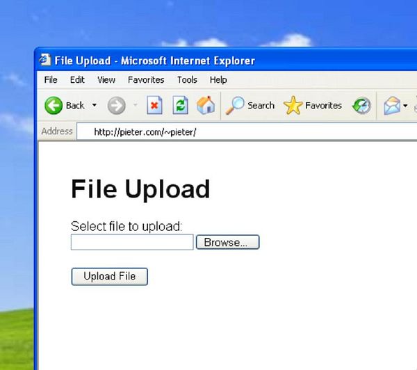 The image displays a file upload interface in Microsoft Internet Explorer on Windows XP.