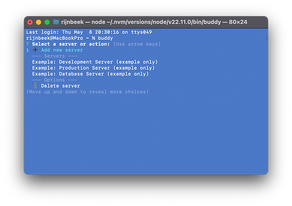 The image displays a terminal interface for a CLI tool named Buddy, designed for SSH connections to various servers.