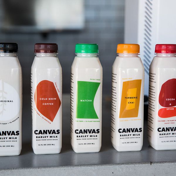 Canvas
