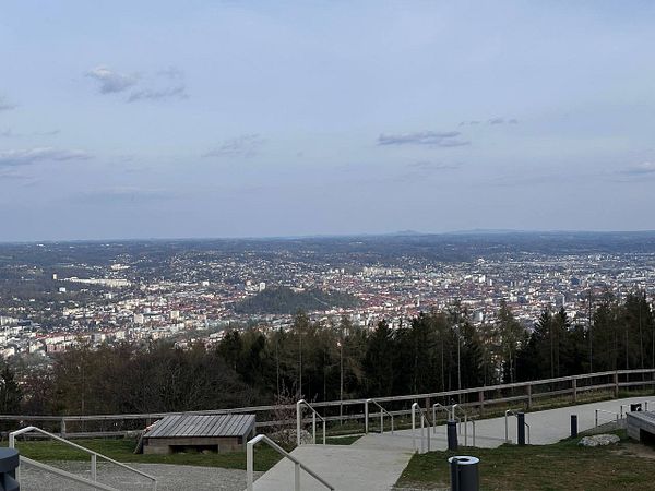A panoramic view from a mountain overlooking a cityscape with trees in the foreground.