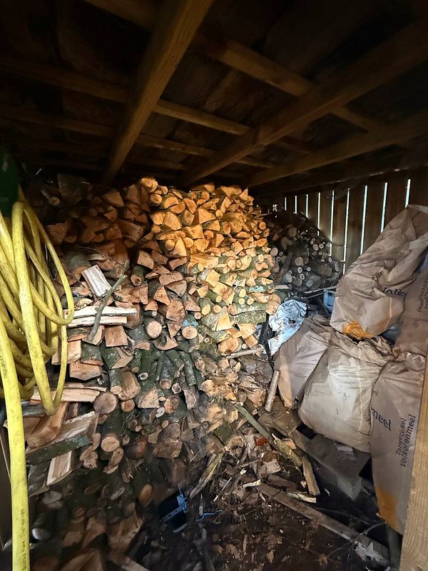 A cluttered shed interior filled with stacked firewood and various items.