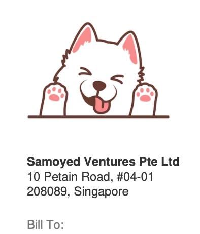 Invoice document titled 'VIBE JAM' with detailed billing information, company details, and cost breakdown.