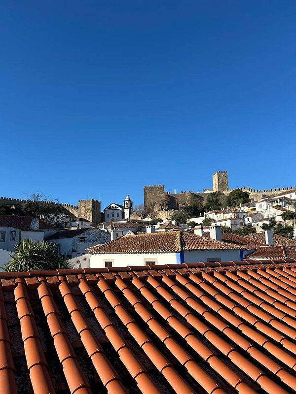 A picturesque view of a medieval town in Portugal featuring terracotta rooftops and a castle.