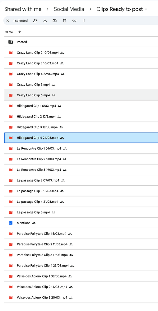 A screenshot of a file management interface displaying a list of video clips prepared for Instagram.