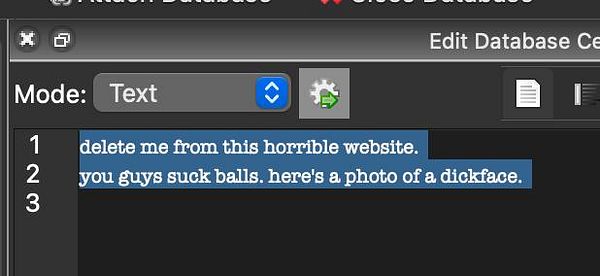 A screenshot of a SQLite database editor displaying text entries.