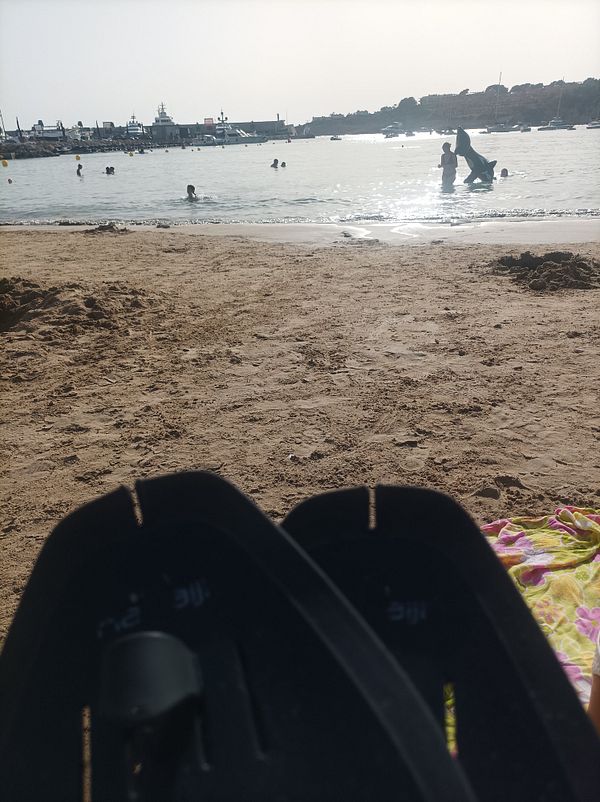 A beach scene with swimmers and flippers in the foreground.