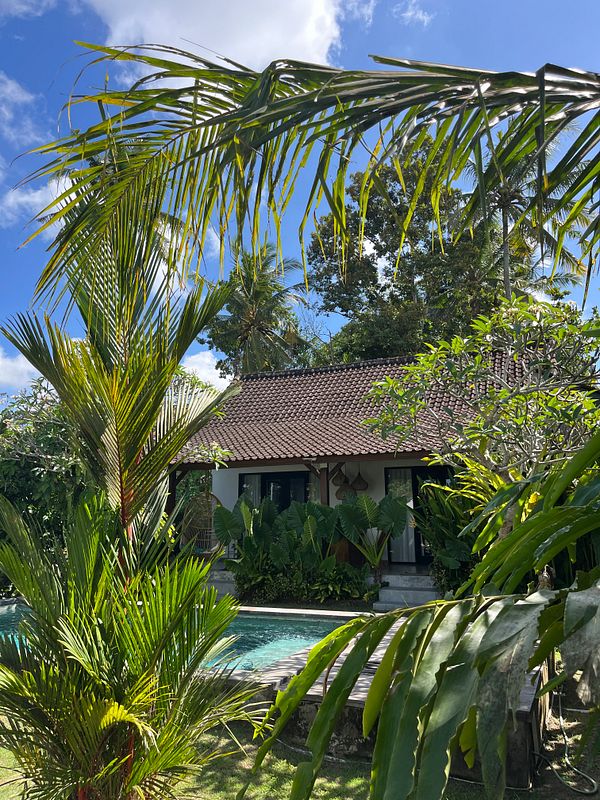 A tropical villa surrounded by lush greenery and a swimming pool.