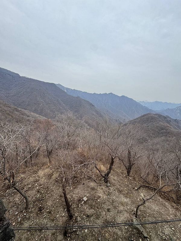 A panoramic view of a mountainous landscape near the Great Wall of China, featuring bare trees and a cloudy sky.