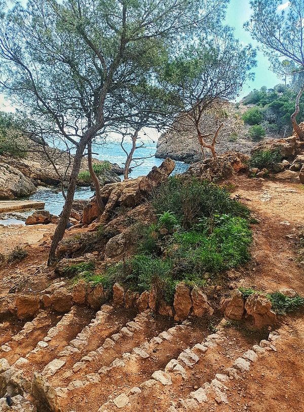A scenic hiking path leads down to a rocky coastline with trees and greenery.