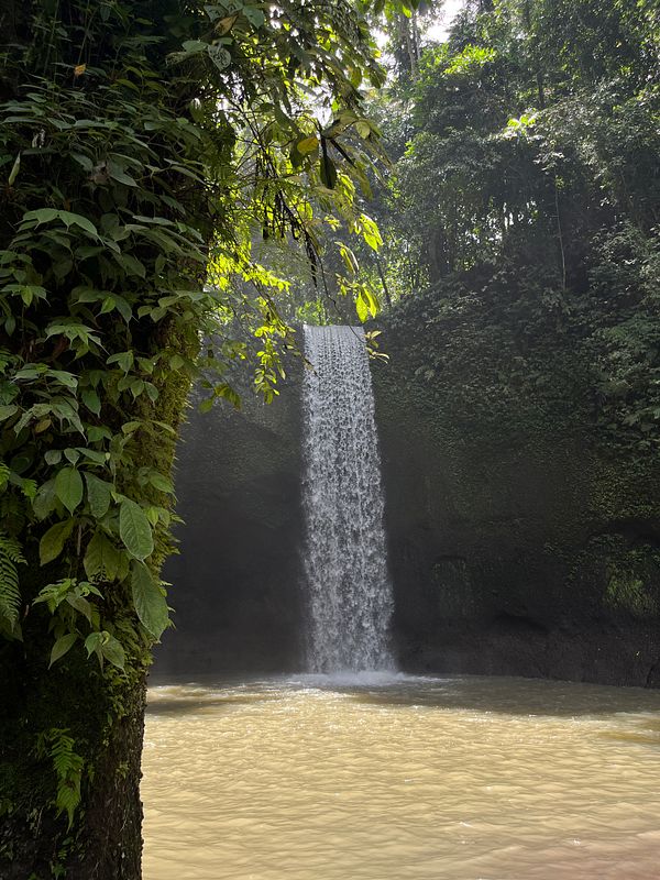 A picturesque waterfall cascading into a serene pool surrounded by lush greenery.