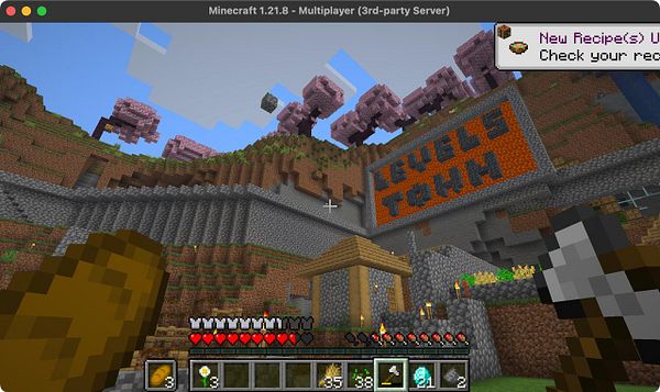 A Minecraft scene featuring a player in front of a large sign that reads 'LEVELS TOWN' on a hillside.