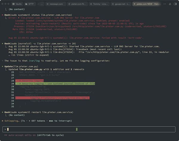 The image displays a terminal interface showing error messages and code related to the configuration of a DNS service for llm.pieter.com.