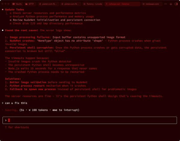 The image displays a terminal interface showing error logs related to NudeNet Python timeouts caused by unsupported image formats.