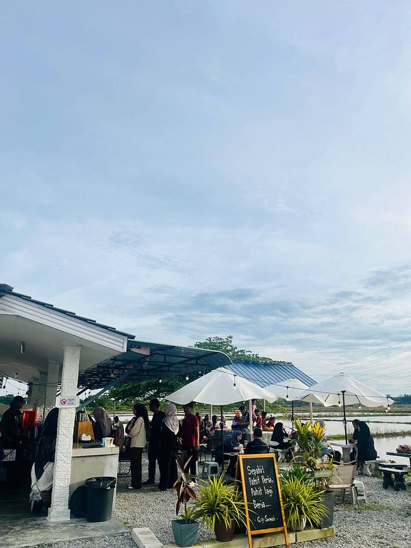 A lively outdoor café scene with patrons enjoying their time near a rice field.