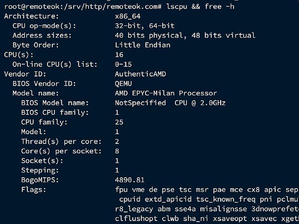 The image displays a terminal output showing CPU and memory specifications for a server.