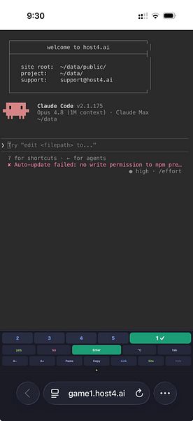 Host4.ai
