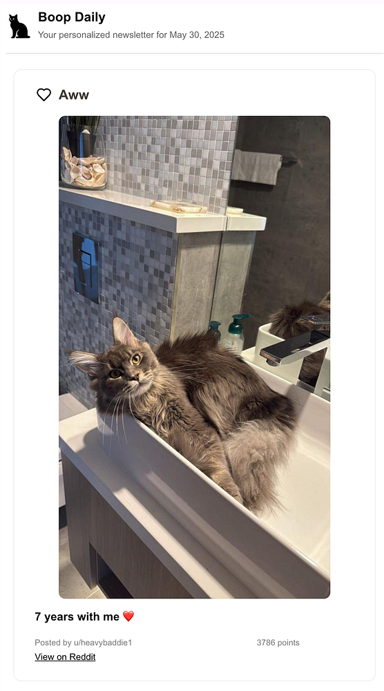 A fluffy cat lounges in a modern bathroom sink.