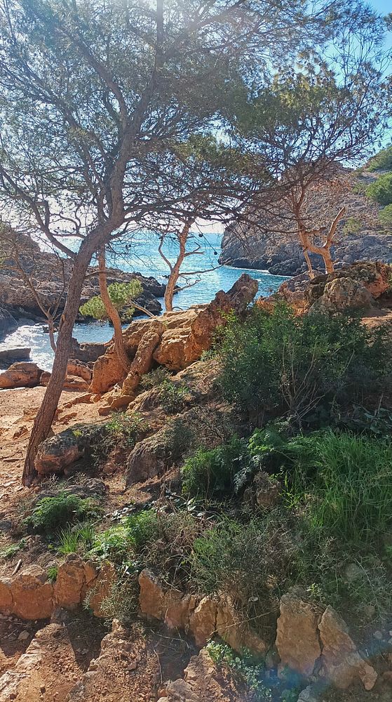 Sunrise hiking trail with a silhouetted figure carrying a backpack, surrounded by trees and mist.