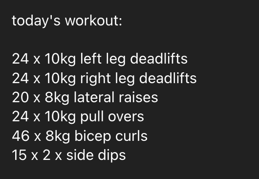 A workout plan detailing various exercises with weights and repetitions.