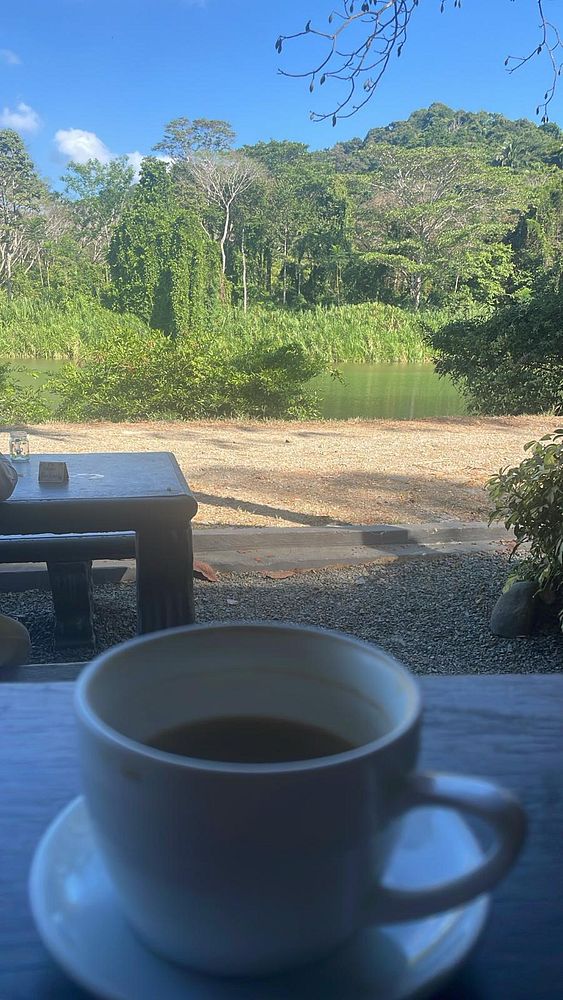 A steaming coffee cup resting on a green saucer on a wooden platform with lush jungle greenery and dense trees in the background.