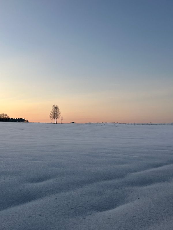 A young woman and a child sitting together on a wooden platform in front of a stack of stored wood in a rural setting.
