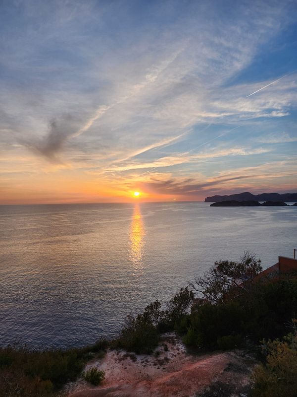 A person sitting on a hill during sunset overlooking a vast forest landscape with the sun low in the sky.