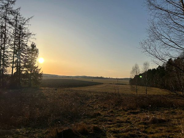 A serene landscape at sunset featuring fields and trees.