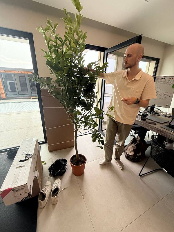 A person is tending to a potted plant in a modern workspace.