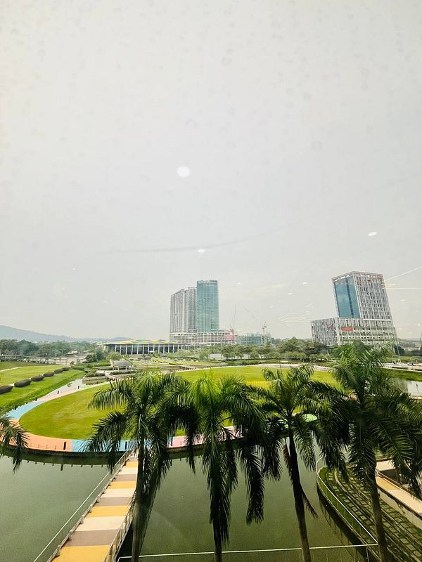 A view from a mall overlooking a landscaped area with palm trees and modern buildings in the background.