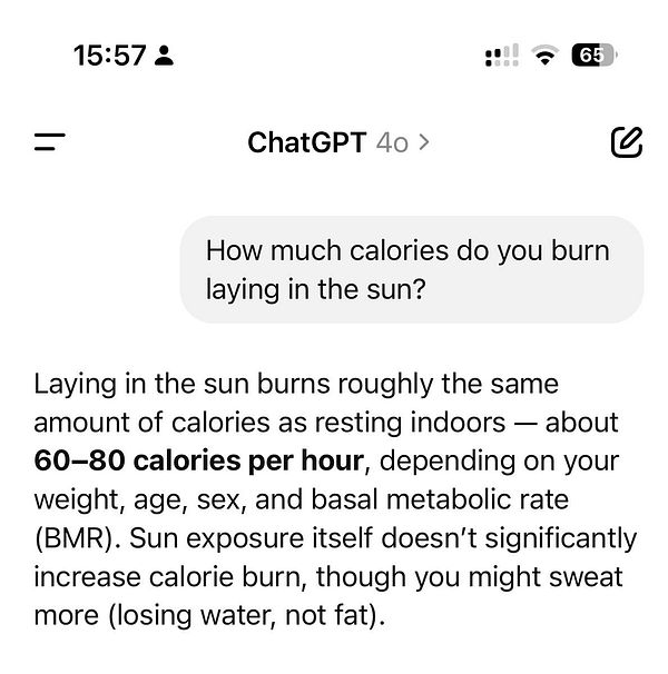 A screenshot of a chat interface discussing calorie burn while laying in the sun.