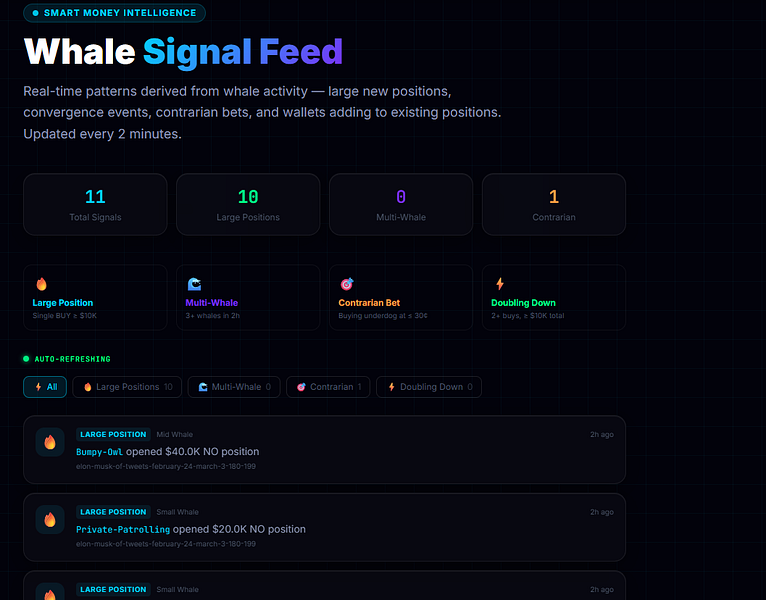 Polymarket Trends