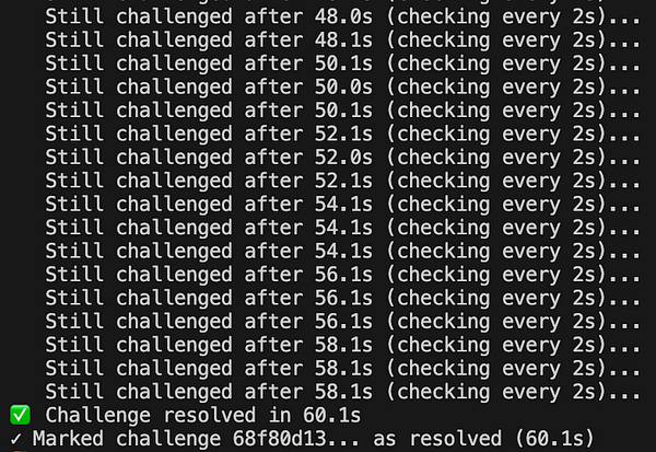 The image displays a terminal output showing the status of a challenge resolution process.