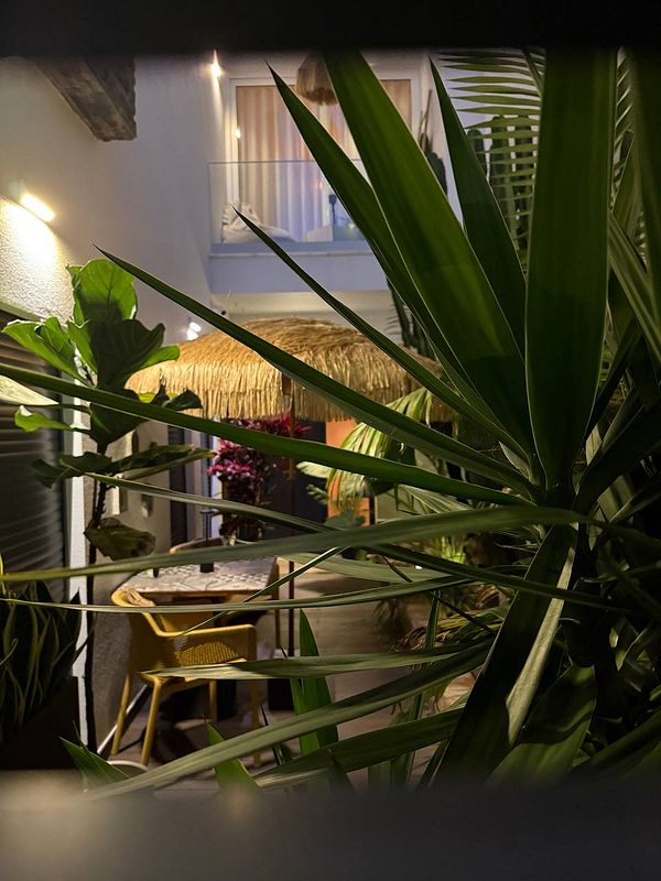 A cozy outdoor seating area is partially obscured by lush greenery.