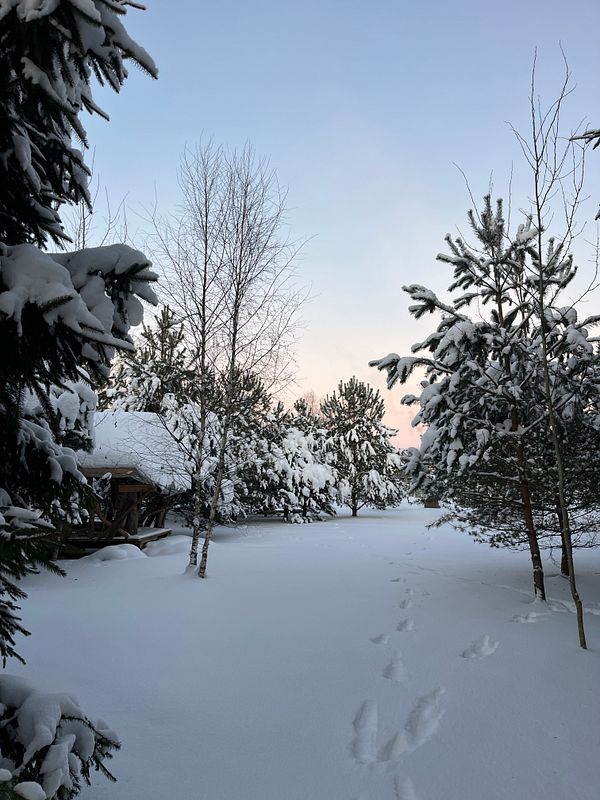 A dining table set for a meal with lit candles, a fireplace, and decorative elements in a warm indoor setting.
