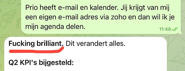 Screenshot of a WhatsApp conversation discussing translation work details and project logistics.