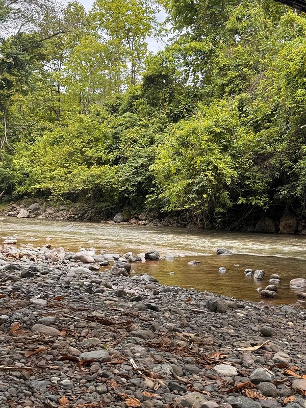 A serene river scene surrounded by lush greenery.
